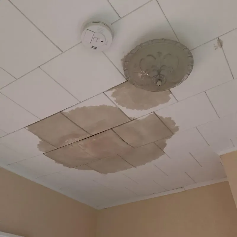 Ceiling Water Damage Repair in Rochester Hills, MI