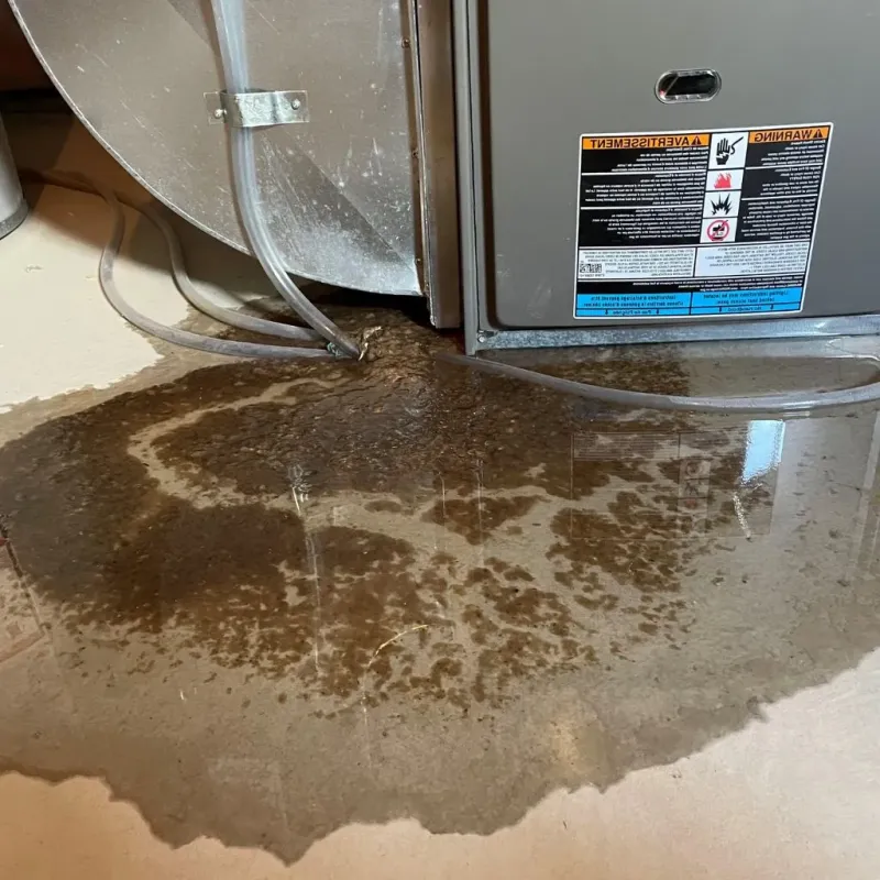Pipe Burst and Leak Restoration in Rochester Hills, MI
